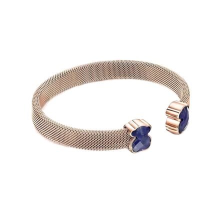 013101580 TOUS . Original logo, high-quality production