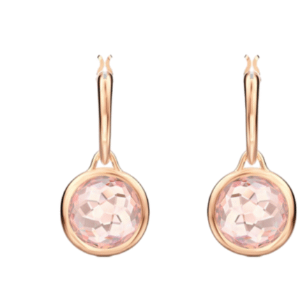 5560932  High quality Swarovski earrings with original logo.