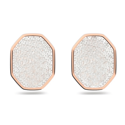 5621105  High quality Swarovski earrings with original logo.